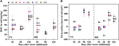 Differentiated Mechanisms of Biochar Mitigating Straw-Induced Greenhouse Gas Emissions in Two Contrasting Paddy Soils